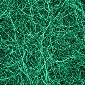 Illustrative render of type III collagen: a fine, loosely tangled green mesh